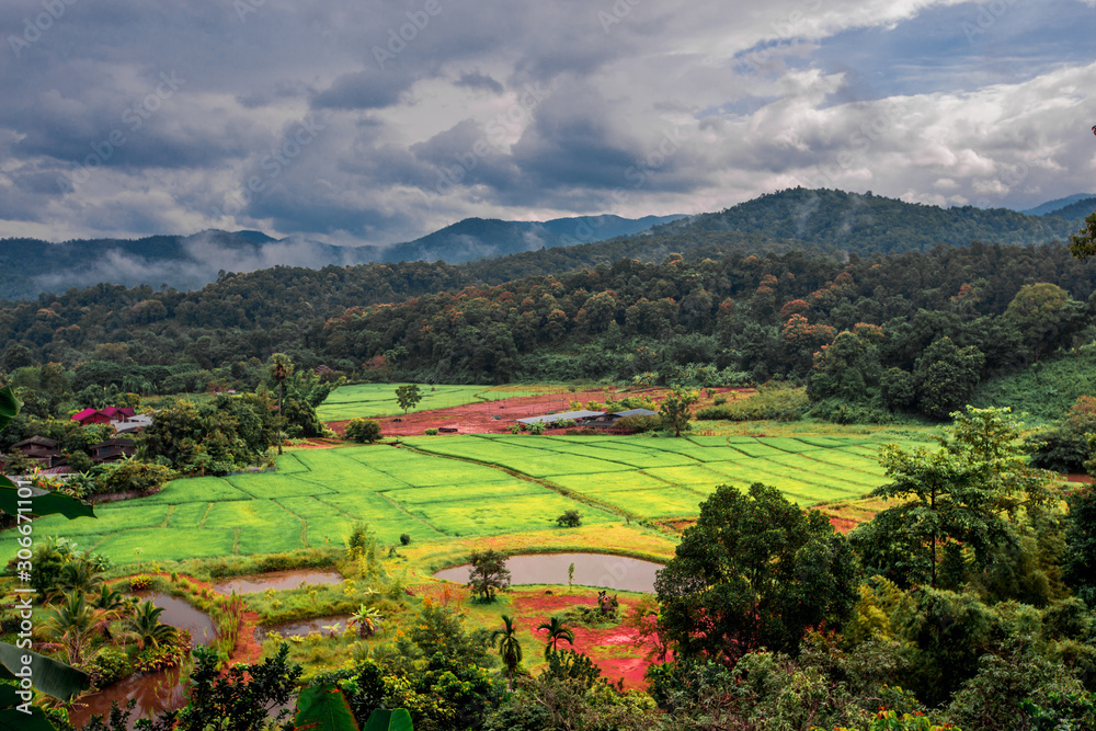 Natural blurred background of high angle views that can see the surrounding atmosphere (rice fields, mountains, trees, coffee trees).
