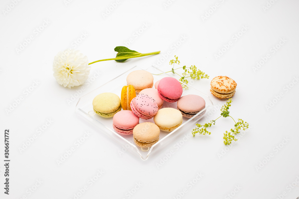 Macaroons on a tray on a white background decorated with fresh flower Macaroons on a tray on a white background decorated with fresh flower