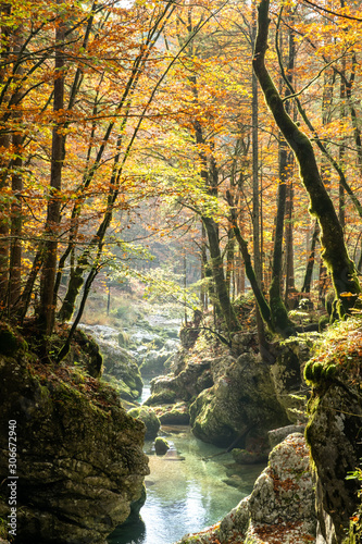 Fototapeta Naklejka Na Ścianę i Meble -  Fall colours at Mostnica Gorge at Lake Bohinj in Slovenia. Amazing vivid autumn colours during October in the Triglav National Park