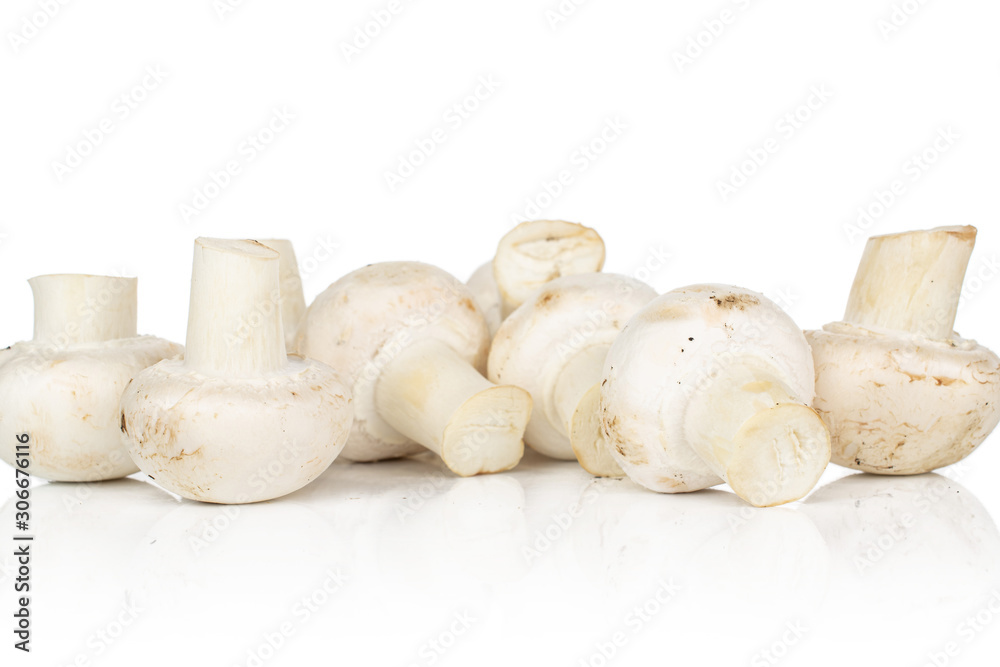 Lot of whole fresh white champignon isolated on white background Lot of whole fresh white champignon isolated on white background