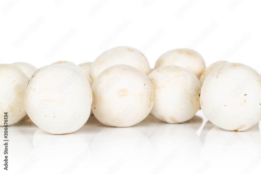Lot of whole fresh white champignon isolated on white background Lot of whole fresh white champignon isolated on white background