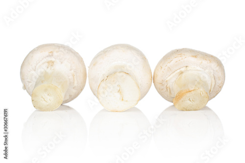 Group of three whole fresh white champignon isolated on white background