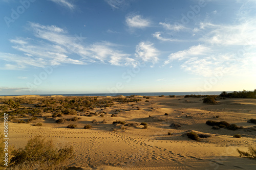 wüste maspalomas