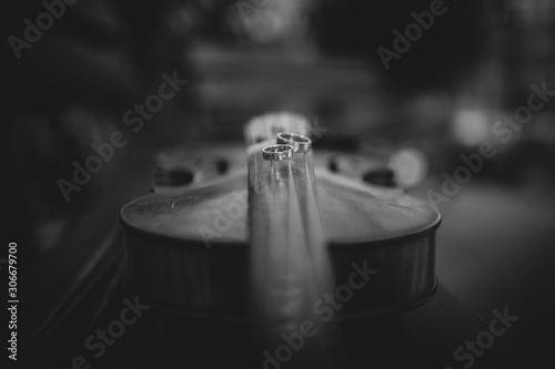 Wedding rings on a violin photo