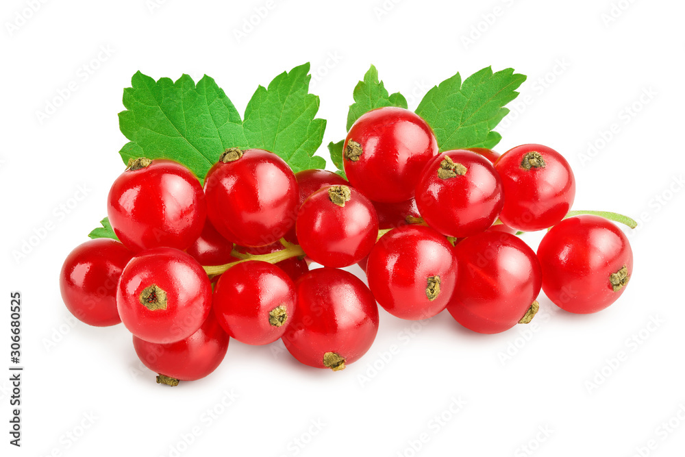 Red currant berries with leaf isolated on white background