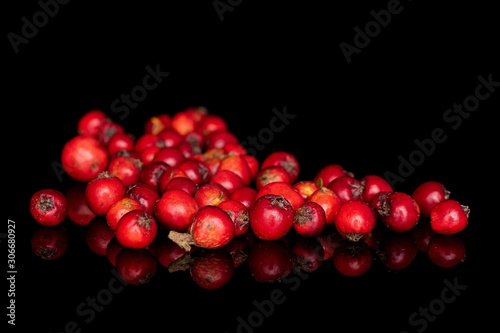 Lot of whole bright wild red rowanberry heap isolated on black glass