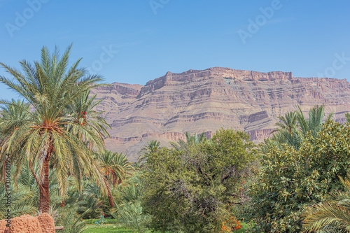 View of the Anti-Atlas mountains with the palm trees of the Oulad Othmane oasis on road 9 between Agdz and Zagora