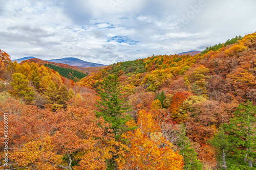 Colorful autumn landscape in urabandai mountain  Fukushima  Japan.