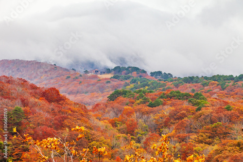 Colorful autumn landscape in urabandai mountain, Fukushima, Japan. © omjai