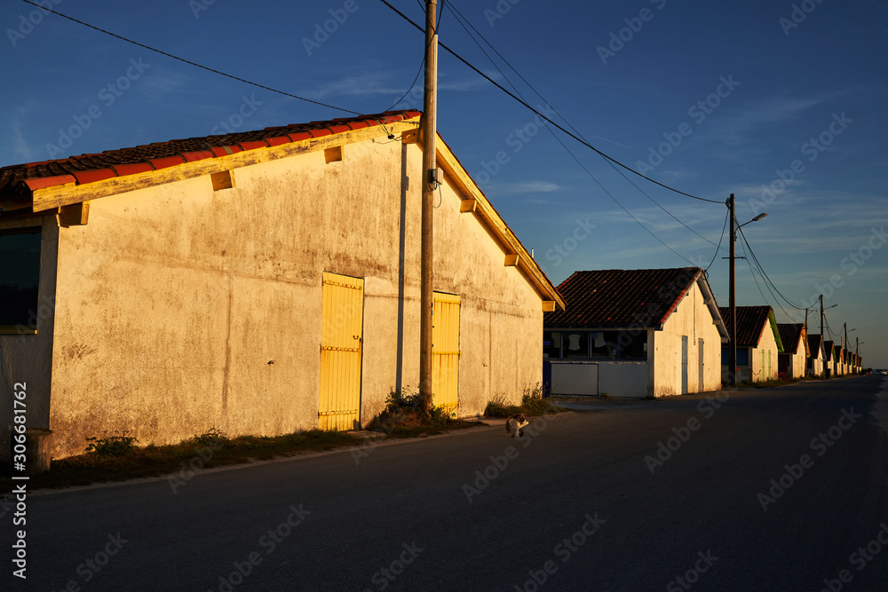 alter hafen der austerfischer in der abendsonne in frankreich