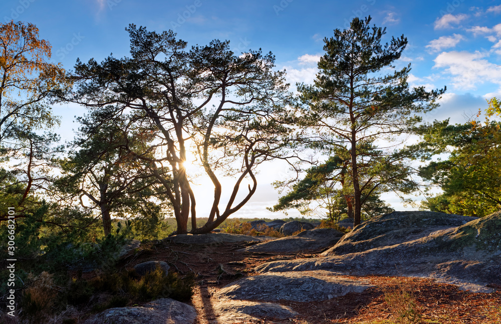 Obraz premium Gorges de Franchard in the french Gatinais regional nature park