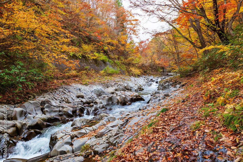 View of Nakatsugawa ravine at Urabandai in autumn season, Fukushima, Japan View of Nakatsugawa ravine at Urabandai in autumn season, Fukushima, Japan