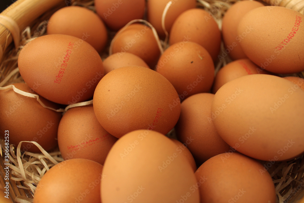 Eier Eier