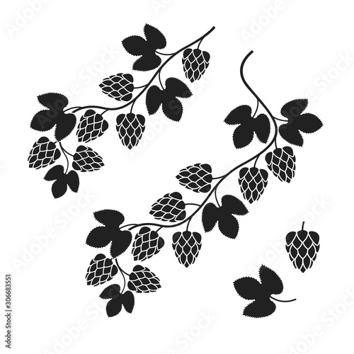 Branch hop logo. Isolated hop on white background