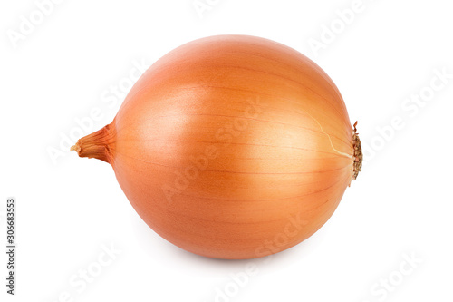 Foto One yellow onion isolated on white background close up