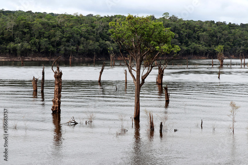 beautiful reflection of trees in the river - Rio Negro, Amazon, Brazil, South America © Christian