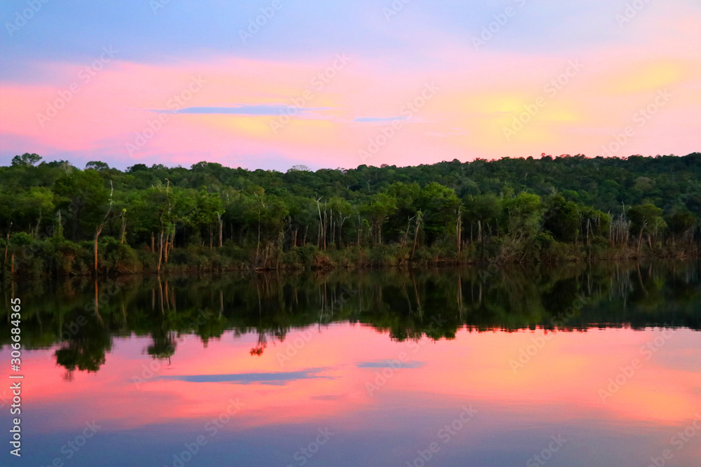 Fototapeta premium beautiful reflection of trees in the river - Rio Negro, Amazon, Brazil, South America