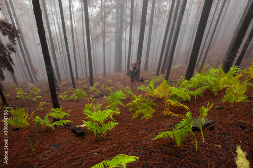 Gran Canaria, November photo