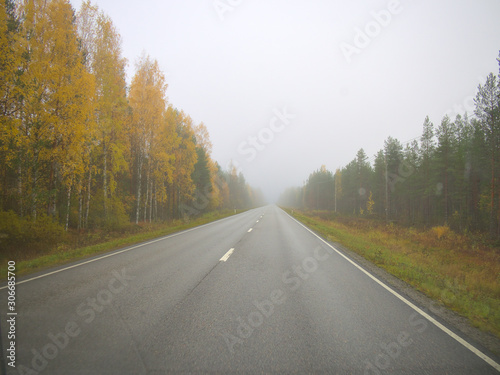 Autumn driving on wet road through forests in Finland