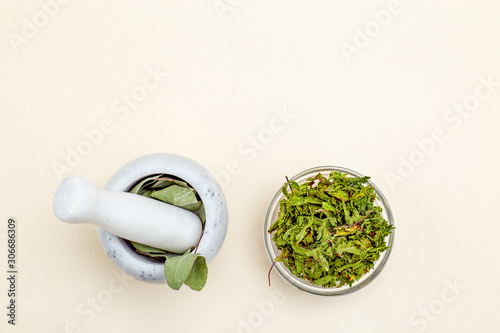 Fotografie Dried herbs and face roller