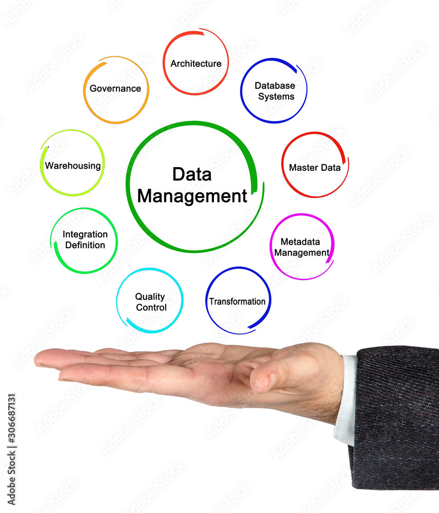 Nine components of Data Management. Nine components of Data Management.