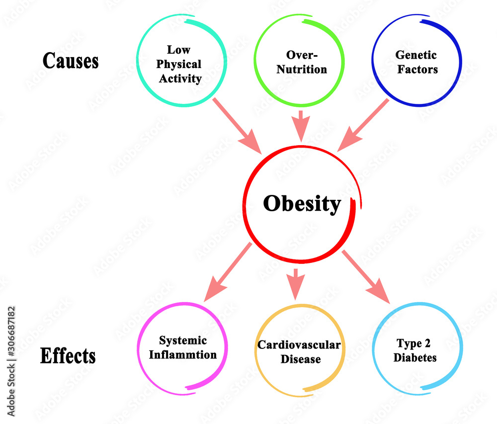 Causes and Effects Of Obesity Stock Illustration Adobe Stock causes-and-effects-of-obesity-stock-illustration-adobe-stock