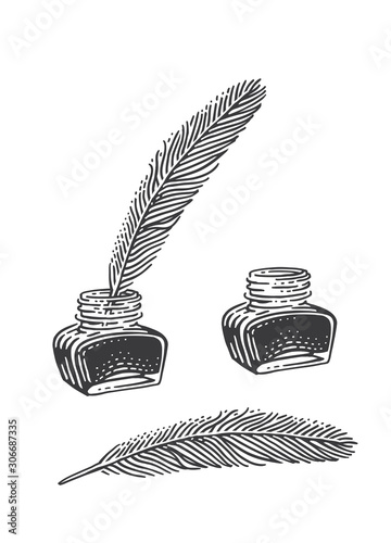 Feather and inkwell vector drawing. Isolated. 