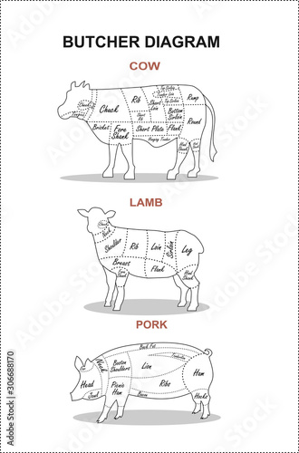 Poster Butcher diagram. Fresh meat beef, pork, lamb. Butchery.