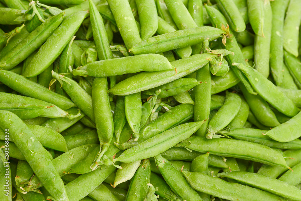 Fresh pea pods as background. Top view. Fresh pea pods as background. Top view.