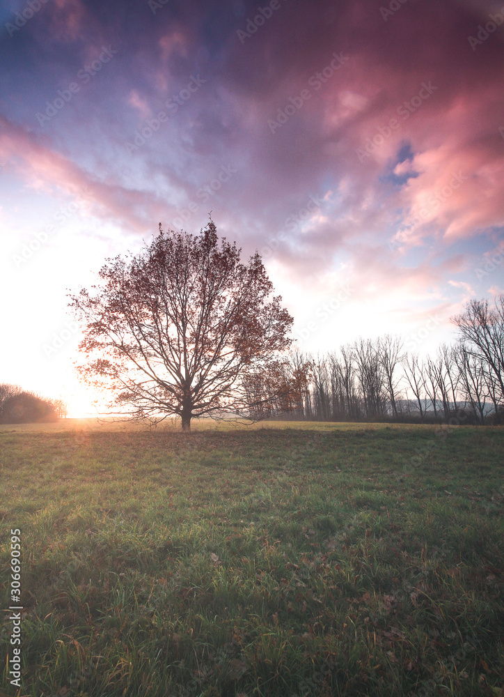 Fototapeta premium sunrise on a chilly morning