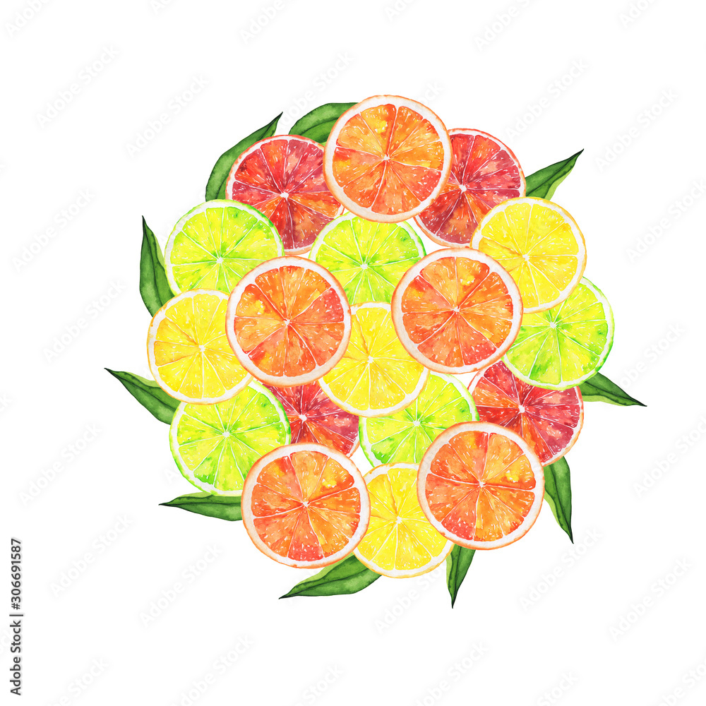 Fresh citrus slices and green leaves round shape isolated on white background. Hand drawn watercolor illustration. Fresh citrus slices and green leaves round shape isolated on white background. Hand drawn watercolor illustration.