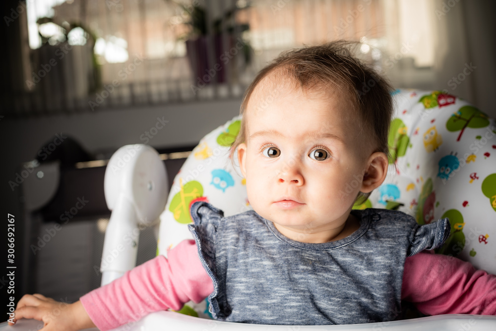 Beautiful baby sitting in a high chair in living room. 6- 12 months old. development concept Beautiful baby sitting in a high chair in living room. 6- 12 months old. development concept