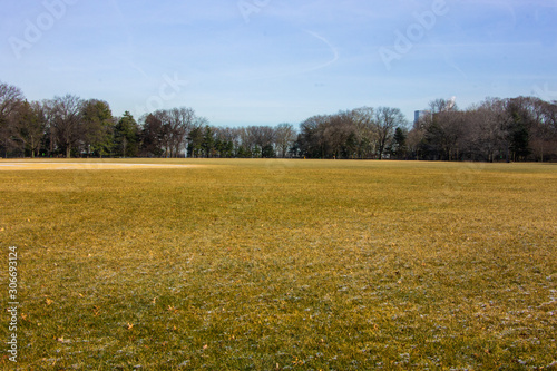 A green field at Central Park in New York City