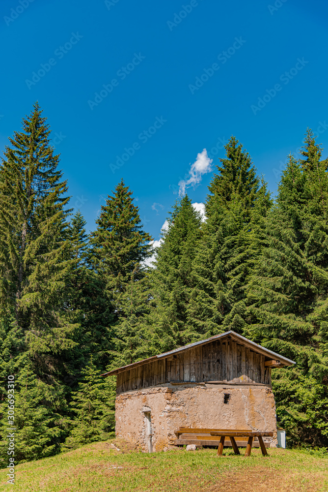LIttle house in the forest LIttle house in the forest