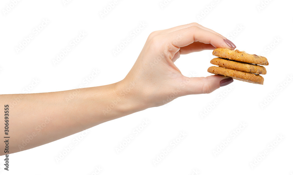 Round cookie with chocolate drops. Isolated on white. Round cookie with chocolate drops. Isolated on white.