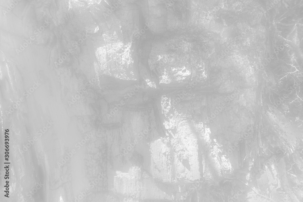 Fototapeta premium The old wood texture with deep natural patterns and cracks on the surface on black and white colours.