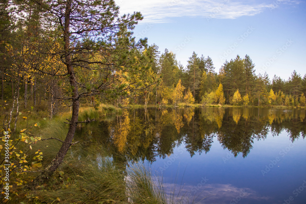 The nature of Karelia, forests and lakes The nature of Karelia, forests and lakes