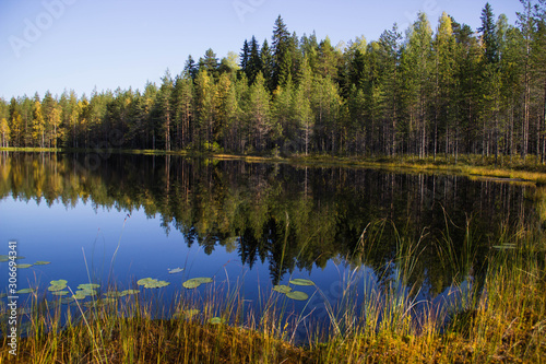  The nature of Karelia, forests and lakes