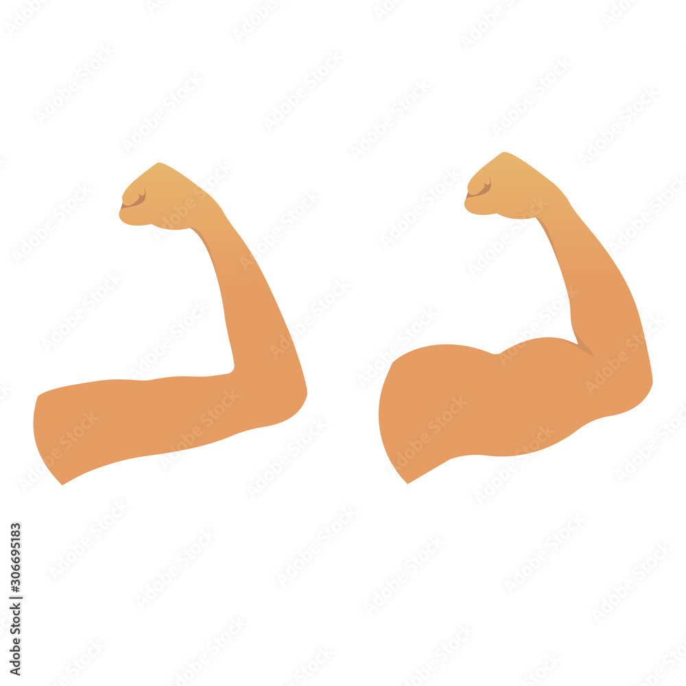 Biceps muscles on a strong and weak arms. Before and after the fitness training result. Human
