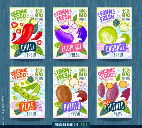 Abstract splash Food label template. Vegetables, fruits, spices, package design. Chilli pepper, cabbage, green peas, eggplant, yams, sweet potato Organic fresh Vector illustration