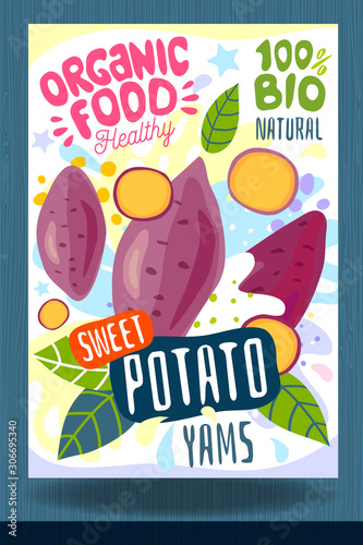 Abstract splash Food label template. Colorful brush stroke. Vegetables, fruits, spices, package design. Sweet potato, yams, potatoes, slice, leaf, sweet ripe Organic fresh Vector illustration