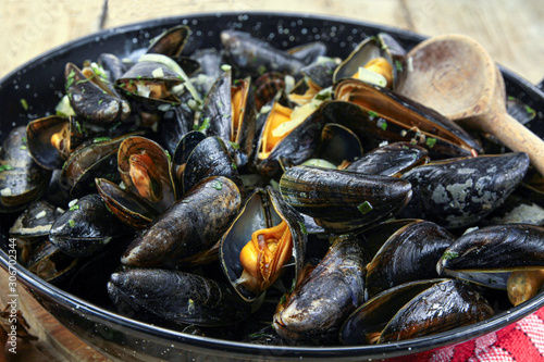 Photography mussels cooked in the marinière