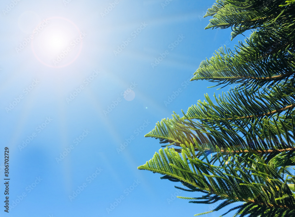 Christmas star tree on blue sky background. Christmas star tree on blue sky background.