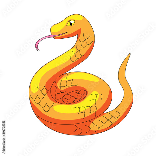 Snake vector illustration