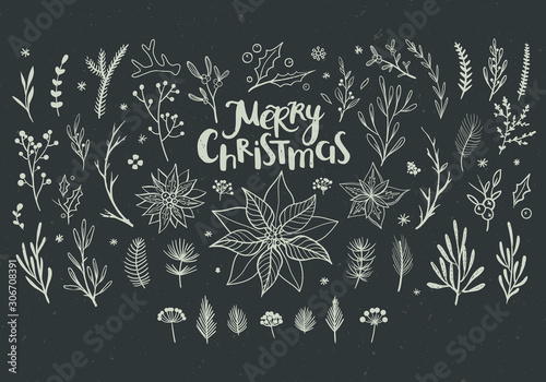Rustic decorative floral elements for Christmas. Vector botanical elements for winter seasonal decorations. 