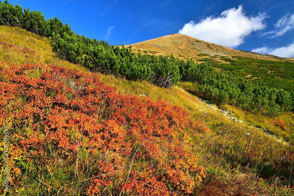 Autumn nature landscape of West Tatras Slovakia mountains