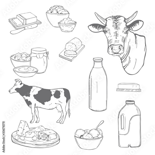  Milk food. Butter, cheese, sour cream, yogurt and cream on a white background. Vector sketch illustration.