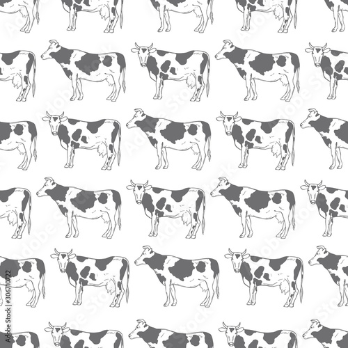 Hand drawn cows on white background. Vector  seamless pattern.