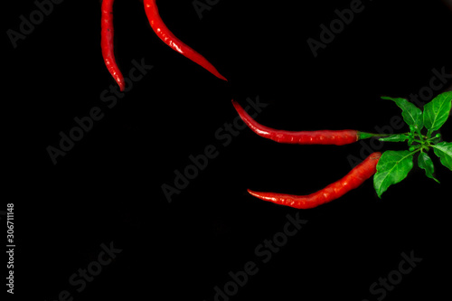 red hot chili peppers, popular spices concept - decorative pattern of red hot chili with green tails on black background, beautiful red collage of freely lying peppers, top view, flat lay