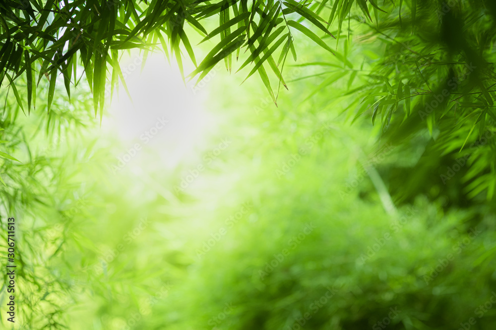Fototapeta Zbliżenie piękny widok natury zielony liść bambusa na zieleni niewyraźne tło z promieni słonecznych i miejsca kopiowania. Służy do naturalnego tła letniego ekologii i koncepcji świeżej tapety.